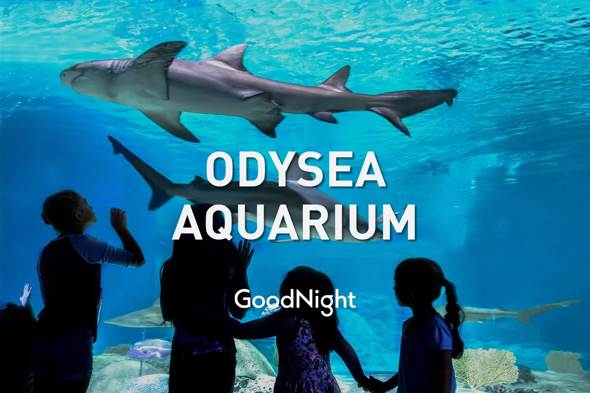 Children are mesmerized as they watch sharks glide past a vibrant aquarium display, illuminated by colorful underwater lighting. The scene captures family bonding, curiosity, and excitement—hallmarks of a visit to OdySea Aquarium.